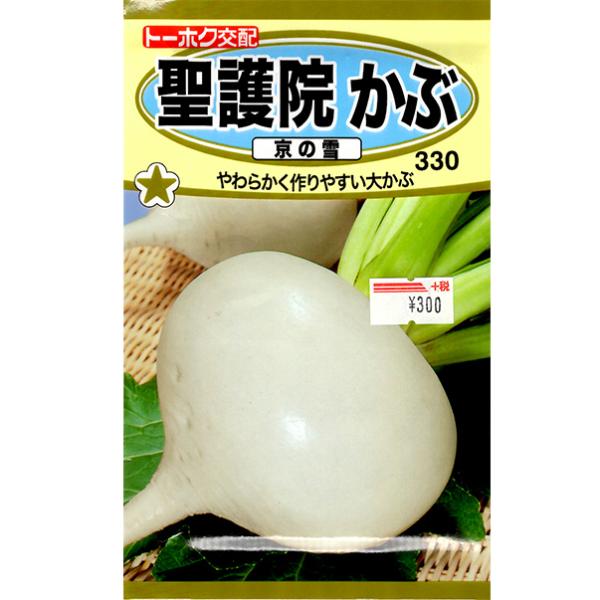 g[zN@؂̎/q@ԁ@@ԁ@̐@e3ml@iǐՉ\[֔@Sꗥ370~j06283