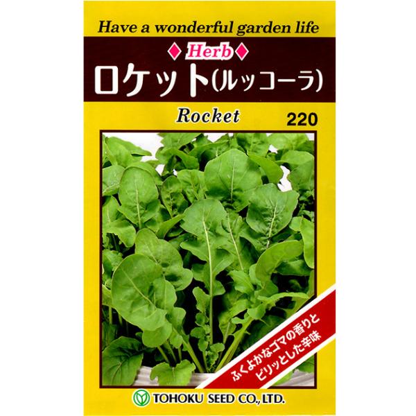 g[zN@؂̎/q@n[u@bR@PbgbR[@e1ml@ iǐՉ\[֔@Sꗥ370~j07665