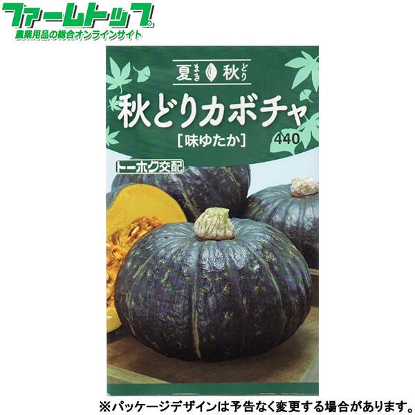 トーホク 野菜の種/種子 かぼちゃ 秋どりカボチャ 味ゆたか 内容量3ml