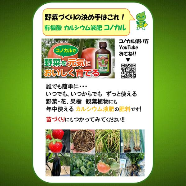 farmtop_eh150-250_1_d_20250906092411