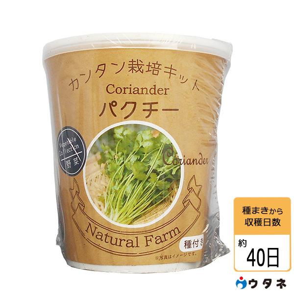 ウタネ カンタン栽培キット パクチー ファームトップ 通販 Paypayモール