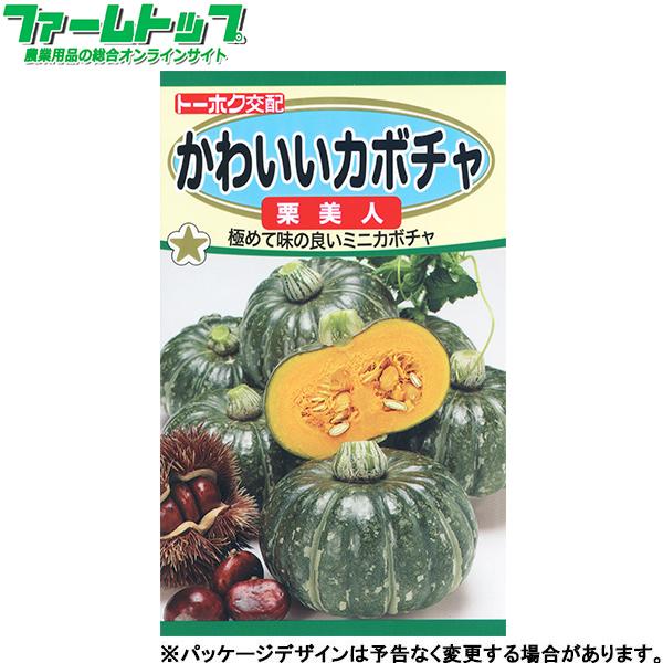 種 かぼちゃの人気商品 通販 価格比較 価格 Com