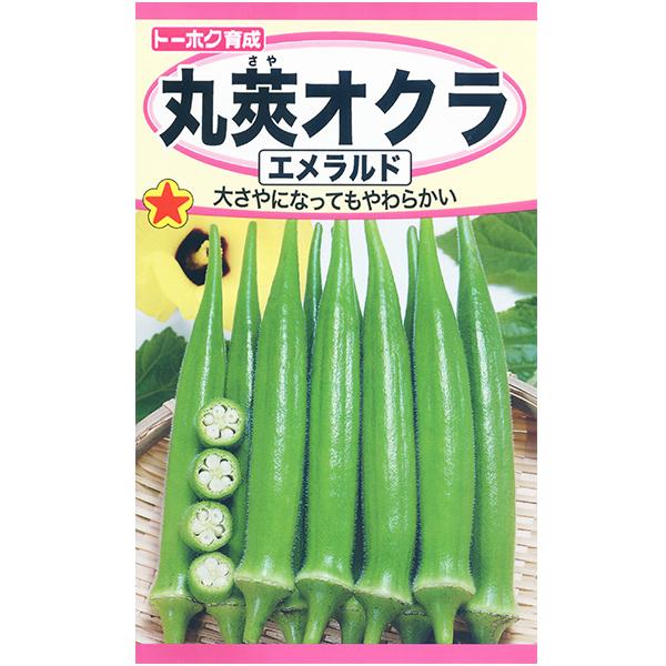 トーホク 野菜の種/種子 オクラ 丸莢オクラ 内容量7ml 種 （追跡可能