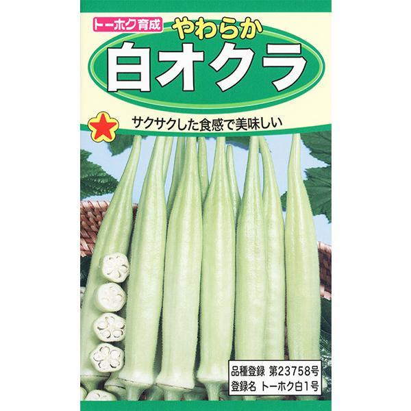 野菜の種(新種)18袋その③ 野菜の種(新種)×18袋