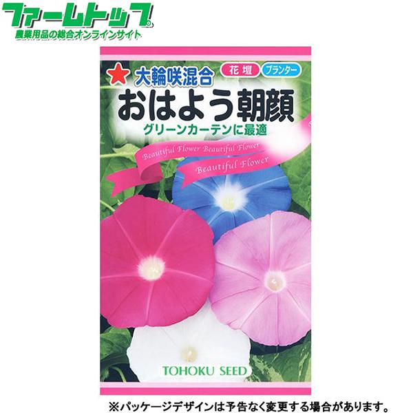 トーホク 花の種/種子 あさがお 大輪咲混合おはよう朝顔 内容量1.5ml