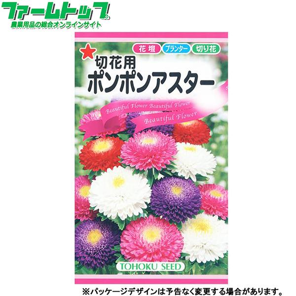 トーホク 花の種 種子 アスター 切花用ポンポンアスター 種 レターパックライト発送 全国一律370円 ファームトップ 通販 Paypayモール