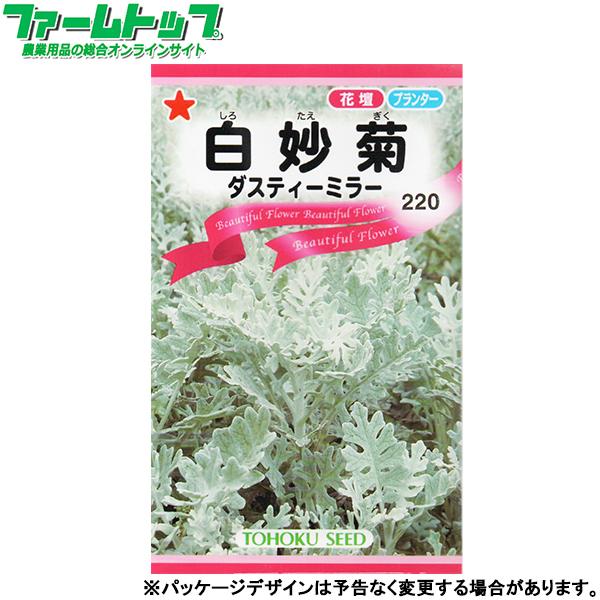 当店小売部門で20年以上の取扱い実績のある種です!　多くの販売実績が有る安心の商品です。■　商品特徴、蒔き方は画像をご覧ください。　　