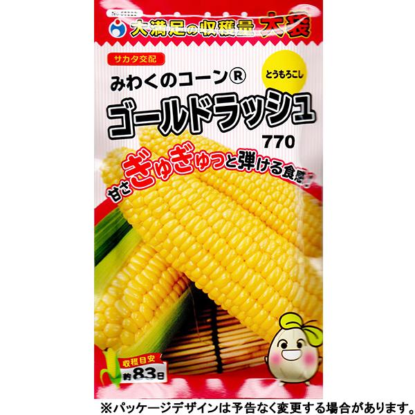 ウタネ 野菜の種/種子 とうもろこし みわくのコーン ゴールド ウタネ 野菜の種/種子 とうもろこし みわくのコーン ゴールド