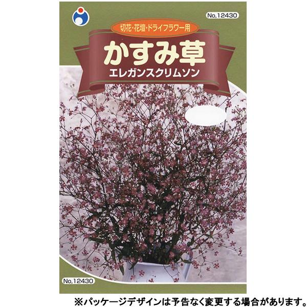 生花 花束 カスミソウ 種の人気商品 通販 価格比較 価格 Com