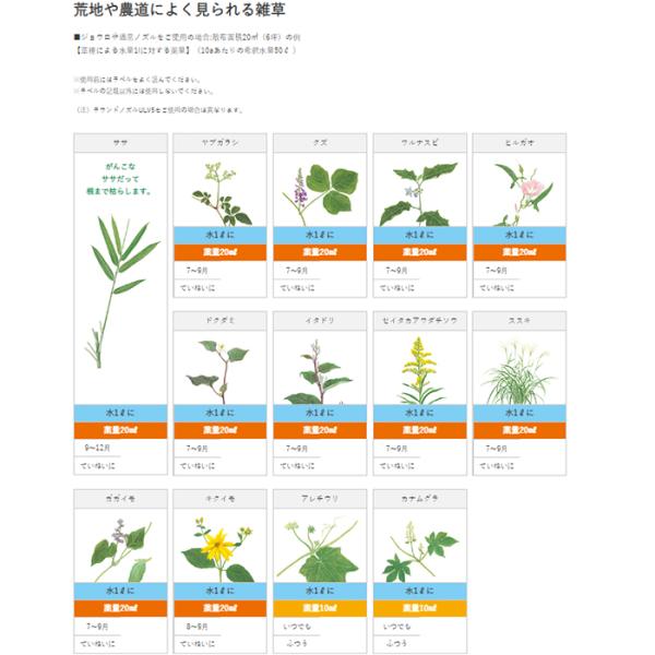 farmtop_n0009_4_d_20231021105644