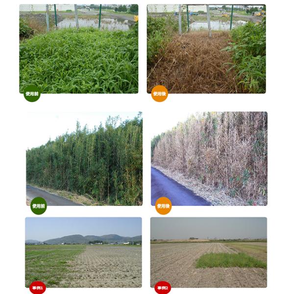 farmtop_n001618_2_d_20251111093620