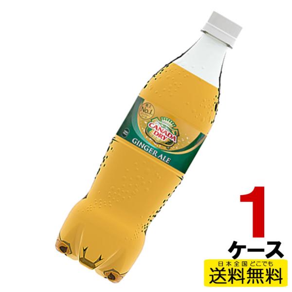 他サイト： カナダドライ ジンジャーエール PET ペットボトル 700ml 1ケース 20本 炭酸 4902102141994 送料無料 コカコーラ コカ・コーラ 直送の商品画像