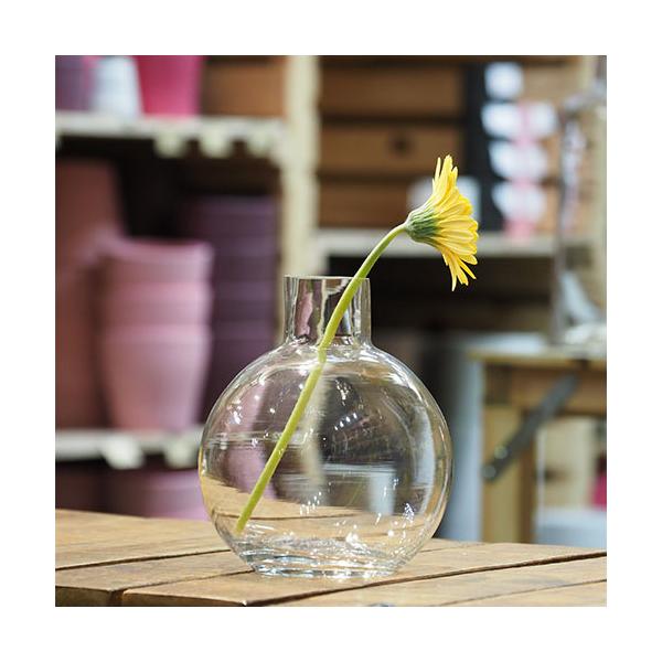 [ t[x[X Ԋ ԕr t[AWg ԗp  AWgpi  TomOXtXR{[14(5)xH17  uh zCG