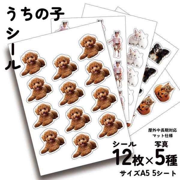 うちの子写真で作るオリジナルシール60枚セット