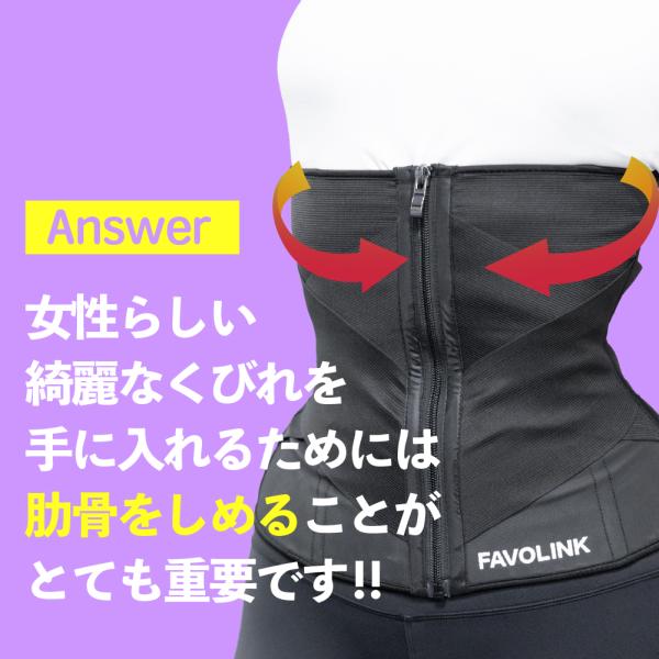FAVOLINK ウエストシェイパー ダブルベルト 安井友梨 ウエストシェイパー FAVOLINK produced by YURI YASUI： 〔ダブルベルト〕ウエスト