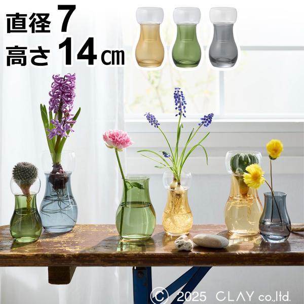 Clay（クレイ） 水耕栽培 ガラス ベース ポット 容器 Bulbee S 花瓶