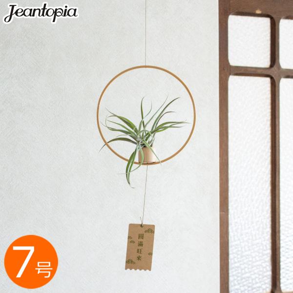 ●竹(バンブー)の円形フレームで作られたエアプランツ用モビールです。●エアプランツは土を必要とせず、空中で育つ観葉植物です。とても軽く、吊るして飾るのにぴったり。お部屋にグリーンを気軽にディスプレイできます。●エアプランツを入れる部分の底面...