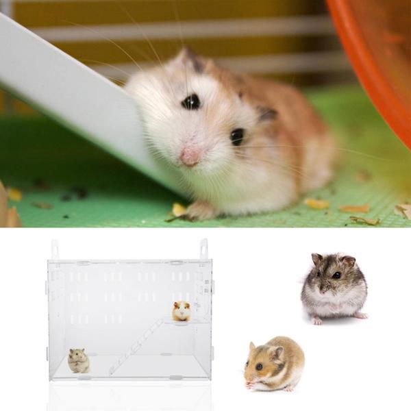 Pobo ハムスターケージ ハムスターハウス 階段付き 持ち手付き 通気用の穴いっぱい 透明度有り アクリル製 ハムスター家 S 無色透 Fakfakkab Go Id