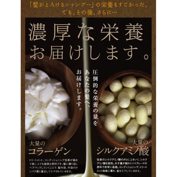 髪がとろけるヘアパック 0g ハード ダメージヘアの方へ 特別の 集中補修スペシャルケア Purrworld Com