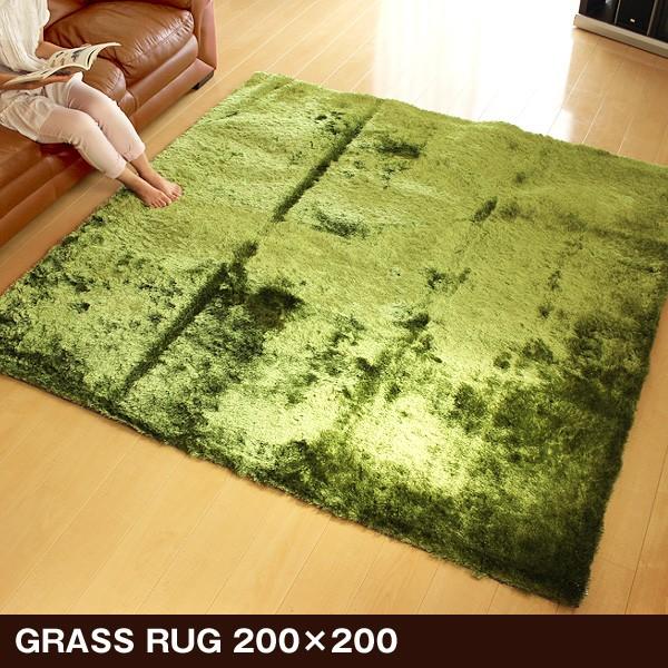 BRID（ブリッド） GRASS RUG グラスラグ 200×200（カーペット 床暖房
