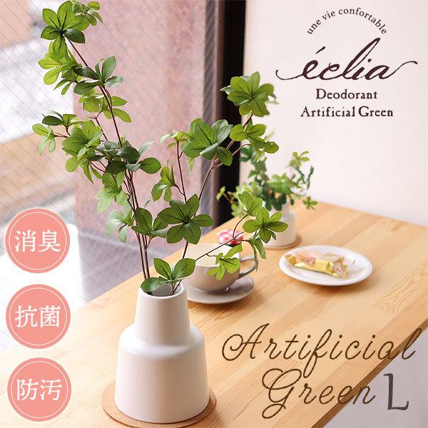 GNA LA[eBtBVO[ 픫^Cv LiLObY C  ϗtAj