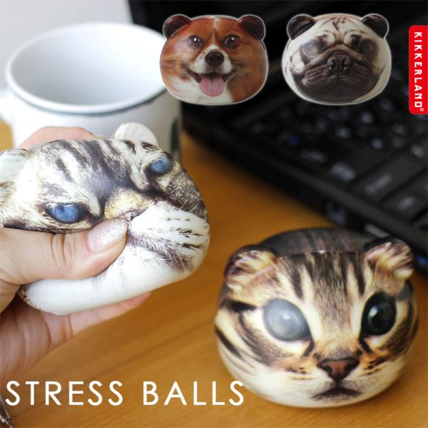 KIKKERLAND STRESS BALLS（キッカーランド スクイーズ 猫 ねこ 犬 いぬ フィジェットトイ）