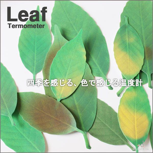 d アッシュコンセプト/リーフ(+d 体温計 エコグッズ おもしろ d アッシュコンセプト/リーフ(+d 体温計 エコグッズ おもしろ