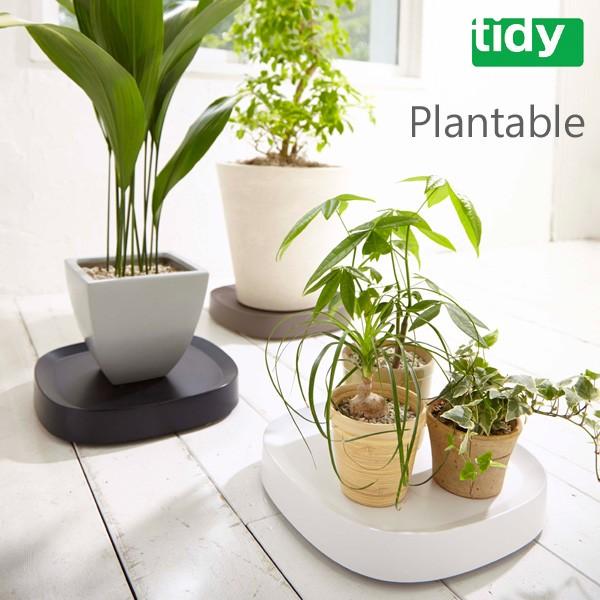 tidy Plantable v^ui LX^[ړ M uj