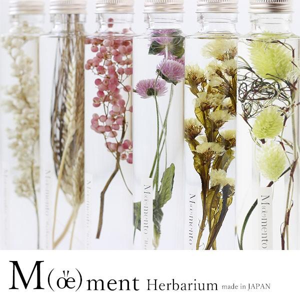 Moemento ハーバリウム Herbarium ドライフラワー プリザーブドフラワー お祝い ギフト 植物標本 エフシーインテリア 通販 Yahoo ショッピング