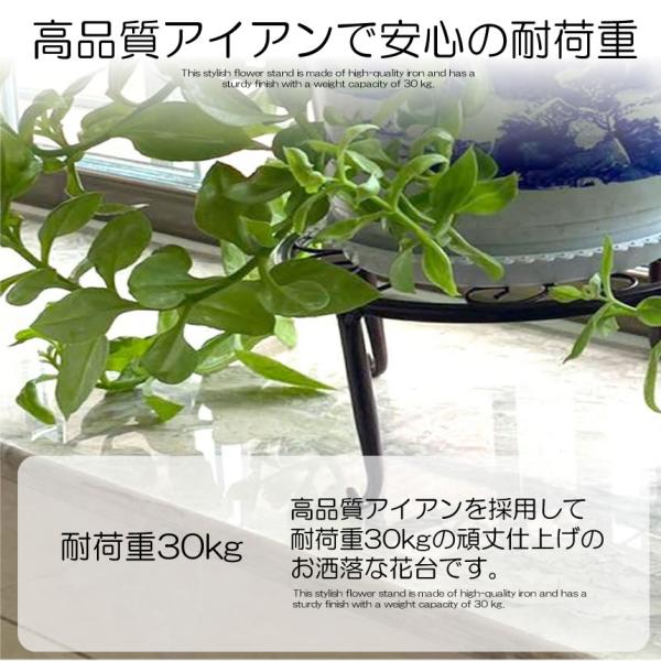 fcl-plus_c-mi0506-14a_2_d_20260113174714