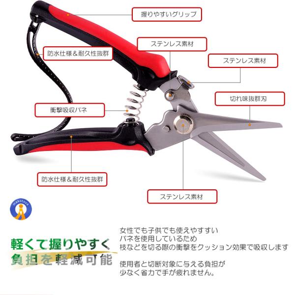 fcl-plus_s-kj2209-44a_5_d_20231215105648