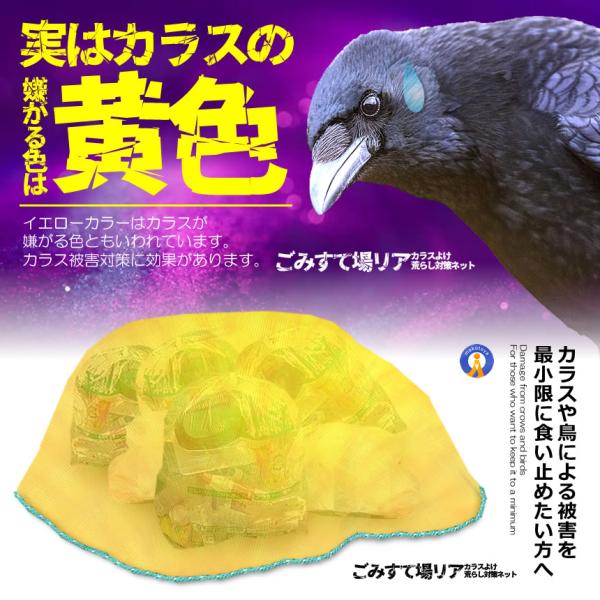 fcl-plus_s-kk2304-76a_3_d_20231215111101