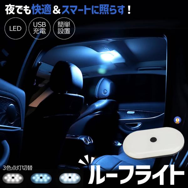 LEDライト 充電式 ルーフライト 車内照明 読書灯 車載 タッチ操作 車内ランプ ルームライト BLRAI