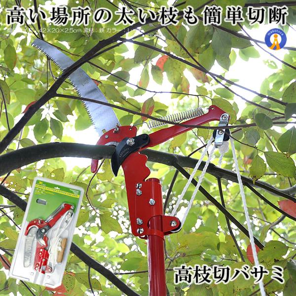 }؃oT~ ̂ y ȒPؒf  n ʎ ̎ } Q쏜 K[fjO  }؂  y }Ƃ ̂ POTEDA