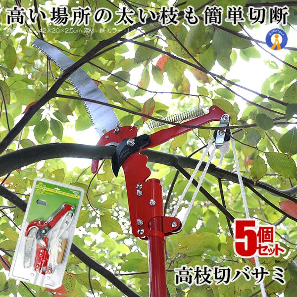 5Zbg  }؃oT~ ̂ y ȒPؒf  n ʎ ̎ } Q쏜 K[fjO  }؂ y }Ƃ ̂ POTEDA