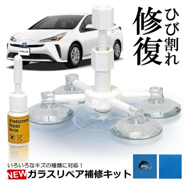 tgKX yALbg NEW CLbg 5 ߖ DIY KX  J[pi 4_Œ LY qr ѐ j |WVjOc[ NEWREP