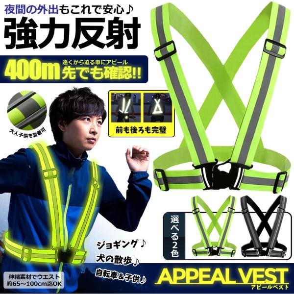 ˃xXg  SxXg WLO jO EGXgTCY 65`100cm jOxg jp S`bL ̎U l q ˔ BESUREF