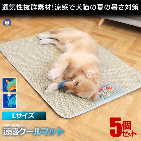 5Zbg ybgp  ybg}bg N[}bg LTCY xbh  L Ђ}bg L   Ђ ybg}bg ⊴ ΍ v DOG7560-L