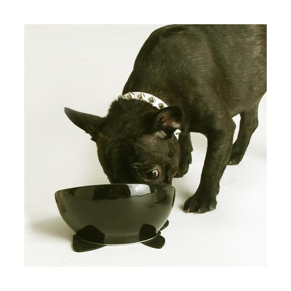 y݁z nI atgh v ubN t`uhbO pH t[h{[ ynIz