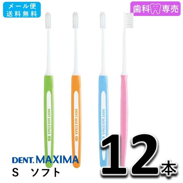 送料無料 DENT. MAXIMA デント マキシマ S ソフト 12本 ライオン LION 歯科専売 歯ブラシ メール便送料無料