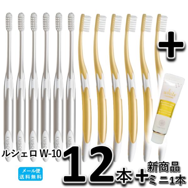 送料無料 GC ジーシー ルシェロ ホワイト（White) W-10 12本 + ルシェロホワイト　プレミアムケア　ミニ　1本　歯科専売　歯ブラシ　ホワイトニング