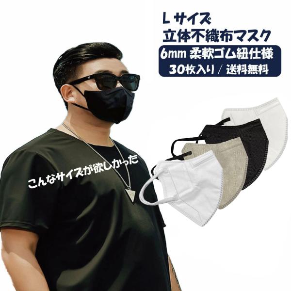 在庫限り 不織布 Lサイズ 立体不織布マスク 3dモテマスク バイカラー 個別包装 大きめ 30枚 使い捨て ３D 4層構造 息しやすい ズレにくい フェザーストア