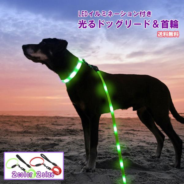 リード 首輪 LED ドッグリード 光るリード ペット用品 ペットグッズ 犬 犬用品 夜間 事故防止 安全 お散歩 小型犬 中型犬 USB充電 S M フェザーストア