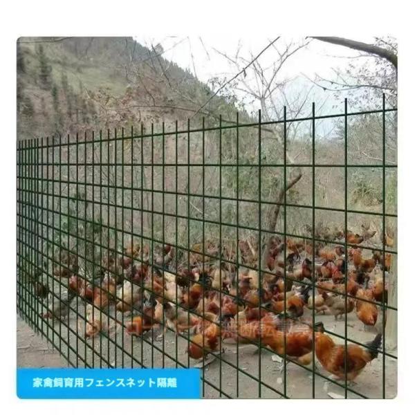 金網フェンス 1.2m×30m 亜鉛メッキ ワイヤーメッシュ 6cm目 線径2mmで丈夫 植物や畑の保護に最適 ガーデンフェンシングで侵入対策も簡単