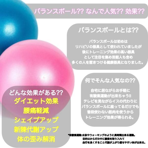 簡単 人気 自宅 お気軽 ダイエット 本格体幹 ゆがみ肩こり解消 有酸素運動 基礎代謝 バランスボール Krsh フィールワン 通販 Yahoo ショッピング