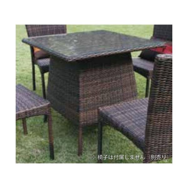 XNGAKXe[u NH-2119Z 38707 W[rXmF-769nyK[f`FAz