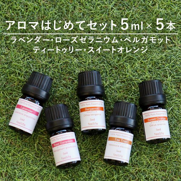 (専用ページ) 精油　アロマオイル　30ml セット imgrc0089826009.jpg