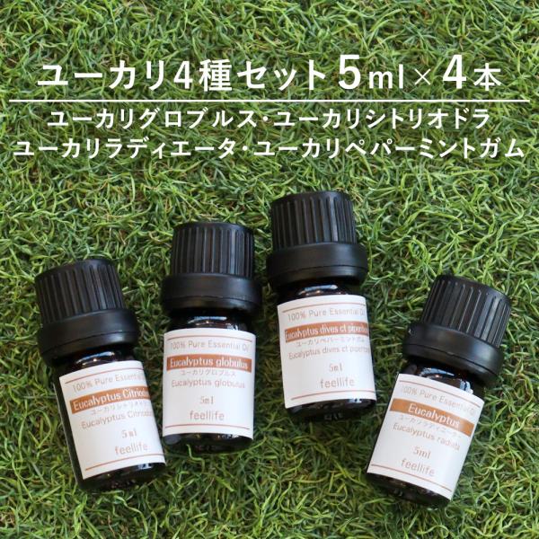feellife アロマオイル ユーカリ4種セット 5ml 4本 ユーカリグロブルス