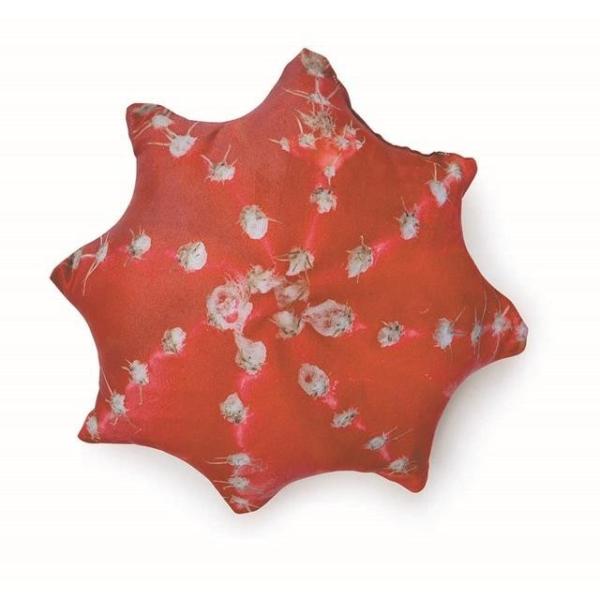 fU[gvgNbV E@@A@NbV CeA@