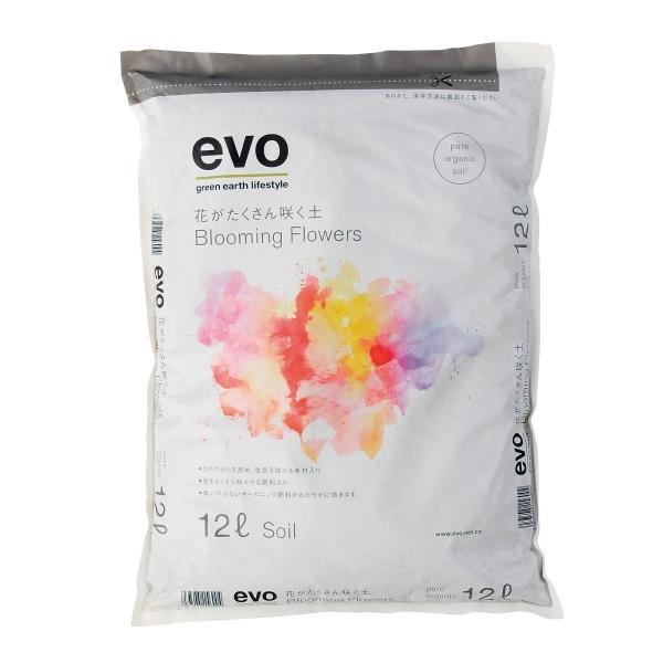 y   I[KjbN  evoԂ炭y 12L